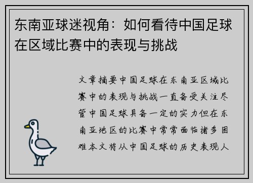 东南亚球迷视角：如何看待中国足球在区域比赛中的表现与挑战